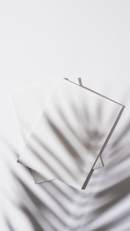 Vertical-video-of-shadow-of-plant-over-books-with-blank-pages-and-copy-space-on-white-background