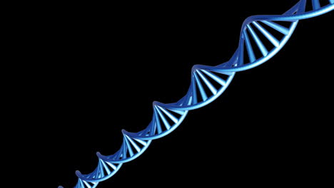 Animation-of-dna-strand-spinning-with-copy-space-over-black-background