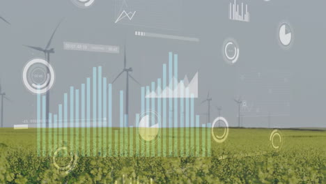 Animation-of-data-processing-and-diagrams-over-wind-turbines-on-field