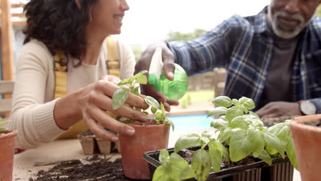 Feliz-Pareja-Madura-Diversa-Plantando-Macetas-Y-Regando-Plantas-En-La-Terraza-Del-Jardín,-Cámara-Lenta