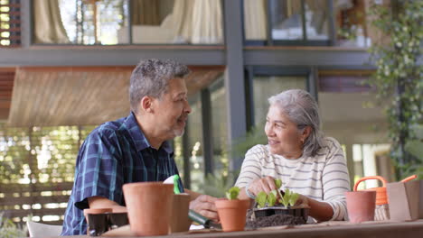 Feliz-Y-Diversa-Pareja-De-Ancianos-Sentada-A-La-Mesa-Y-Plantando-Plantas-En-Macetas-En-El-Porche