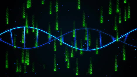 Animation-Des-DNA-Strangs-über-Die-Datenverarbeitung-Auf-Schwarzem-Hintergrund