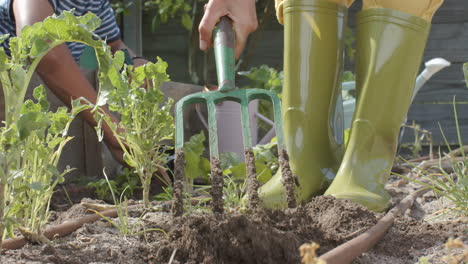 Diverse-couple-working-in-garden-and-planting-plants,-slow-motion