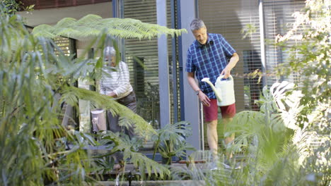 Feliz-Pareja-De-Ancianos-Birraciales-Regando-Plantas-En-Un-Jardín-Soleado