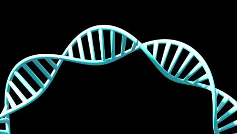 Animation-of-dna-strand-spinning-with-copy-space-over-black-background