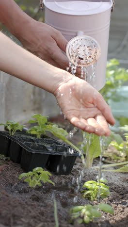 Video-Vertical-De-Diversas-Parejas-Regando-Plantas-En-El-Jardín,-Cámara-Lenta