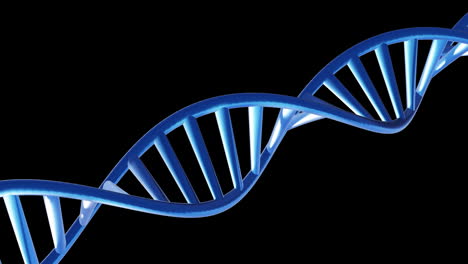 Animation-of-dna-strand-spinning-with-copy-space-over-black-background