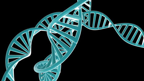 Animation-of-dna-strands-spinning-with-copy-space-over-black-background