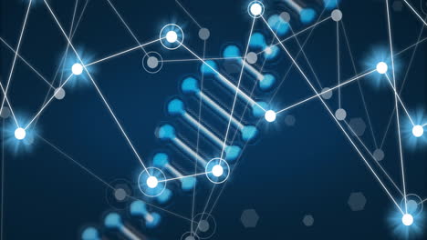 Animation-of-dna-strand-and-networks-of-connections