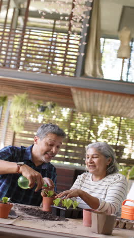 Feliz-Y-Diversa-Pareja-De-Ancianos-Sentados-A-La-Mesa-Y-Plantando-Plantas-En-Macetas-En-El-Porche,-Vertical