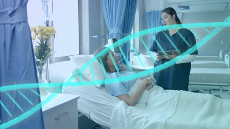 Animation-of-dna-strand-over-diverse-female-doctor-and-patient-in-hospital