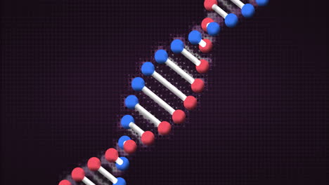 Animation-of-moving-dna-strand-over-black-background