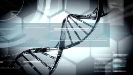 Animación-De-La-Cadena-De-ADN-Y-Procesamiento-De-Datos-Sobre-Fondo-Gris