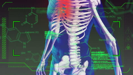 Animation-of-spinning-skeleton-over-data-processing