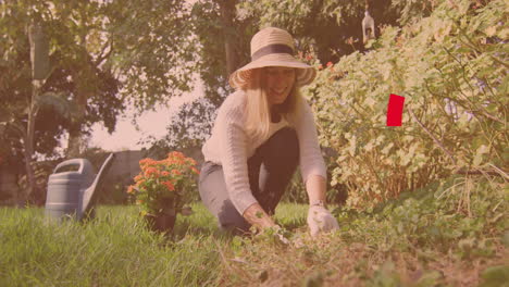 Animation-Von-Stolzen-Regenbogenringen-über-Einer-Glücklichen-Kaukasischen-Frau,-Die-Blumen-Im-Sonnigen-Garten-Pflanzt