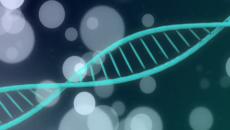 Animation-of-spots-and-shapes-over-dna-strand