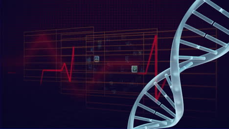 Animación-De-La-Cadena-De-ADN-Y-Procesamiento-De-Datos-Digitales-Sobre-Fondo-Oscuro.