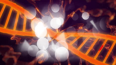 Animation-of-dna-strand-spinning-over-dark-background