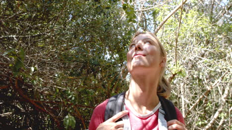 A-young-Caucasian-woman-explores-a-sunlit-forest,-looking-upwards-with-curiosity