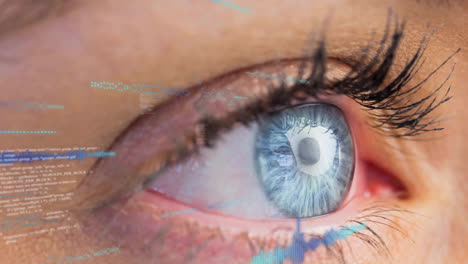 Animation-of-data-processing-over-close-up-of-woman's-eye