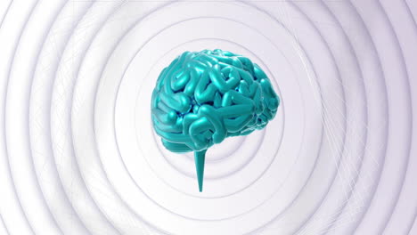 Animación-Del-Cerebro-Azul-Giratorio-Sobre-Anillos-Grises-Giratorios-Concéntricos.