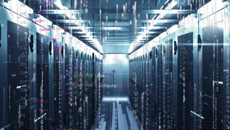 Animation-of-digital-data-processing-over-computer-servers