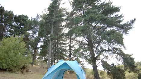 Una-Carpa-Azul-Está-Colocada-Entre-árboles-Altos-En-Un-Entorno-Forestal-Sereno