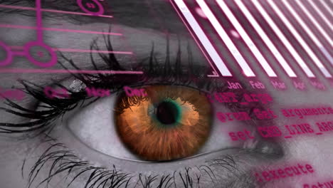 Animation-of-data-processing-over-close-up-of-woman's-eye