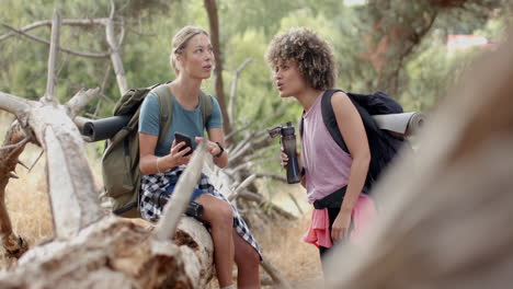 Dos-Mujeres-Jóvenes-Conversan-Durante-Una-Caminata-En-Una-Zona-Boscosa.