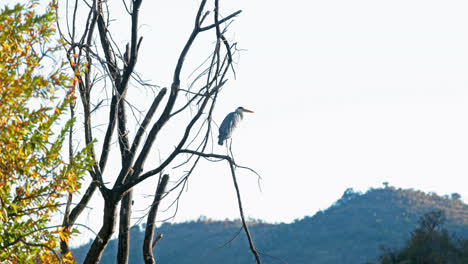 Escena-De-La-Naturaleza-En-Sudáfrica