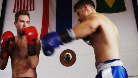 Two-boxers-practicing-in-boxing-ring