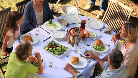 Comida-Familiar-En-El-Jardín