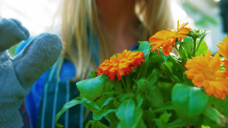 Woman-checking-flower-plant