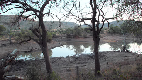 Naturszene-In-Südafrika