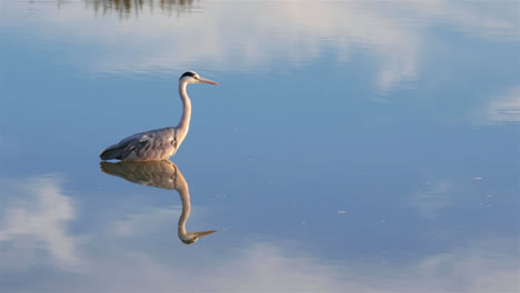 Nature-scene-in-south-africa