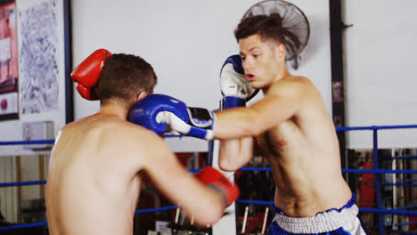 Two-boxers-practicing-in-boxing-ring