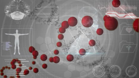 Animation-Eines-DNA-Strangs-Und-Eines-Menschlichen-Modells-Mit-Datenverarbeitung-Auf-Grauem-Hintergrund