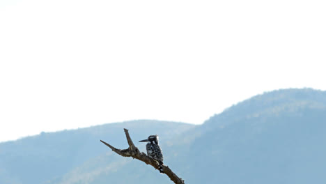 Nature-scene-in-south-africa