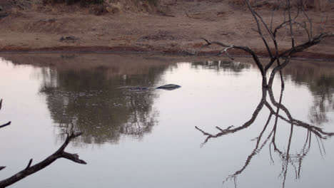 Naturszene-In-Südafrika