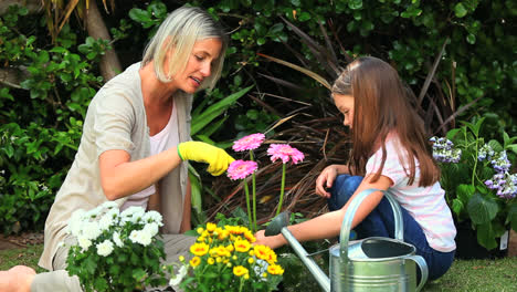 Madre-E-Hija-Oliendo-Flores-Rosadas-En-El-Jardín