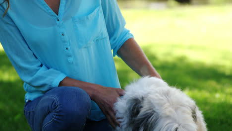 Mujer-Jugando-Con-Su-Perro-En-El-Parque