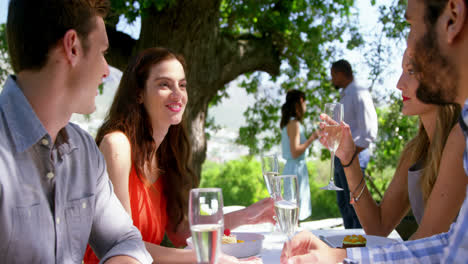 Gruppe-Von-Freunden,-Die-Beim-Mittagessen-Miteinander-Interagieren