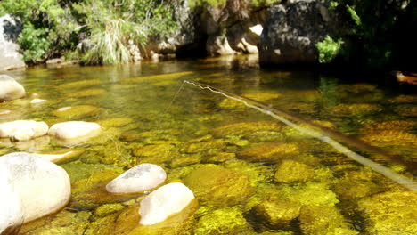 Fisherman-putting-fishing-rod-in-river