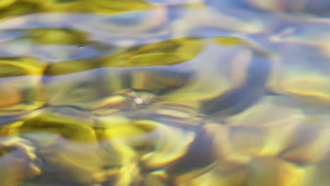 Señuelo-De-Pesca-Flotando-En-Aguas-Poco-Profundas.