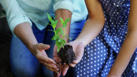 Grandmother-and-grand-daughter-planting-plants