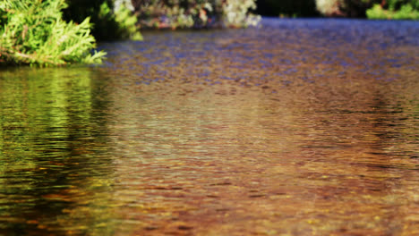 View-of-shallow-river