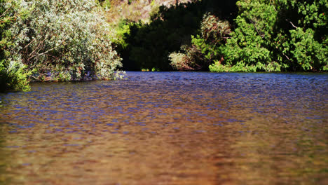 Blick-Auf-Den-Seichten-Fluss