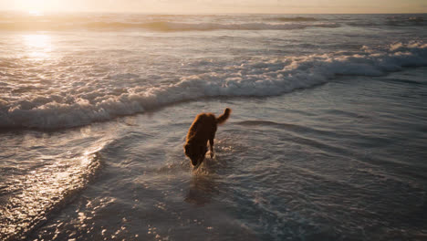 Adorable-Día-De-Verano-En-La-Playa.