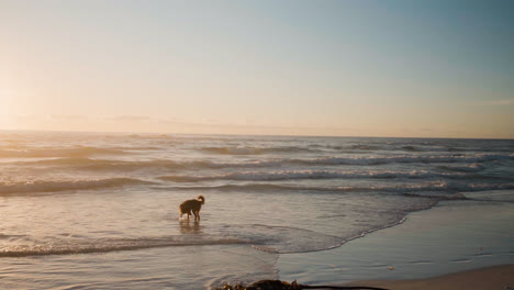 Adorable-Día-De-Verano-En-La-Playa.