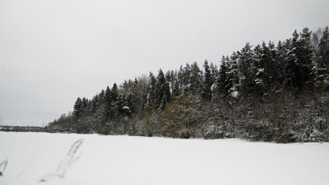 Snow-covered-forest